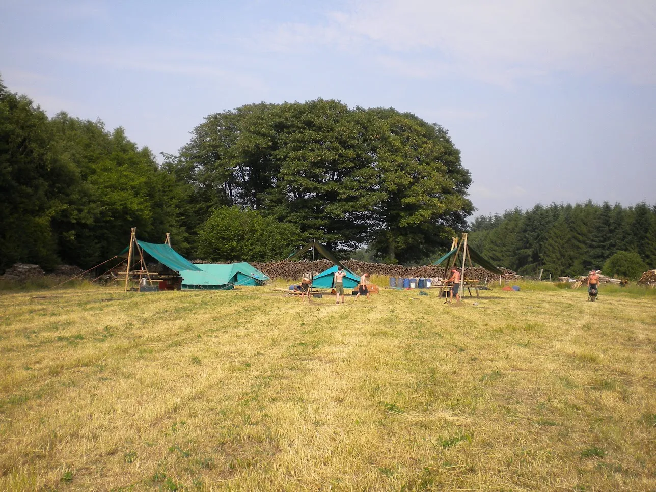 Scoutskamp met tenten en pionierbouwwerken op een groene weide